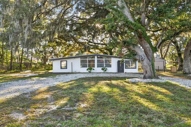 a view of a house with a large tree and a yard
