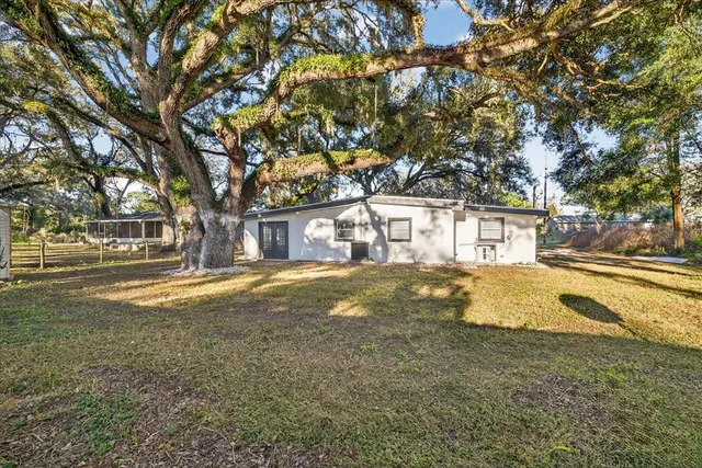 a view of yard with tree s