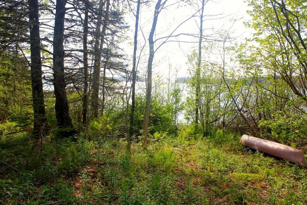 0 Sunset Road Deer Isle, ME 04627 - Photo 4 of 6 Photo