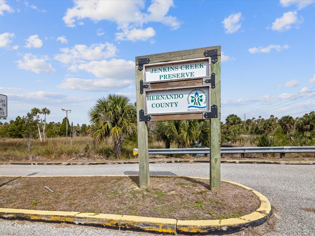 6419 West Richard Drive Weeki Wachee, FL 34607 - Photo 58 of 75