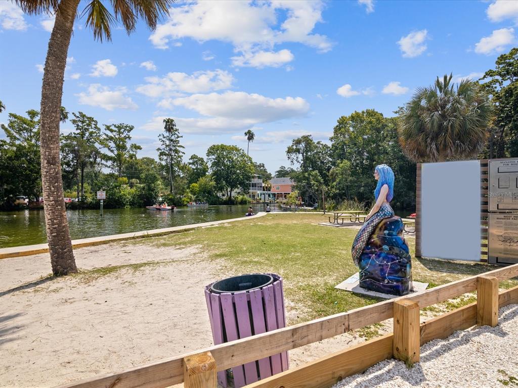 6419 West Richard Drive Weeki Wachee, FL 34607 - Photo 63 of 75