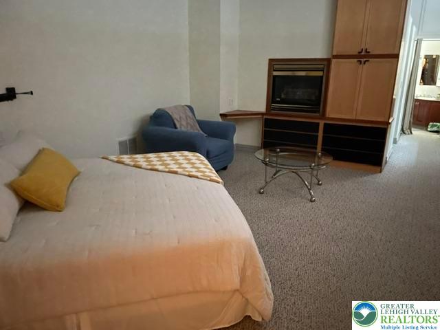 5093 Vera Cruz Road North Emmaus, PA 18049 - Photo 15 of 47 Main bedroom w/gas fireplace