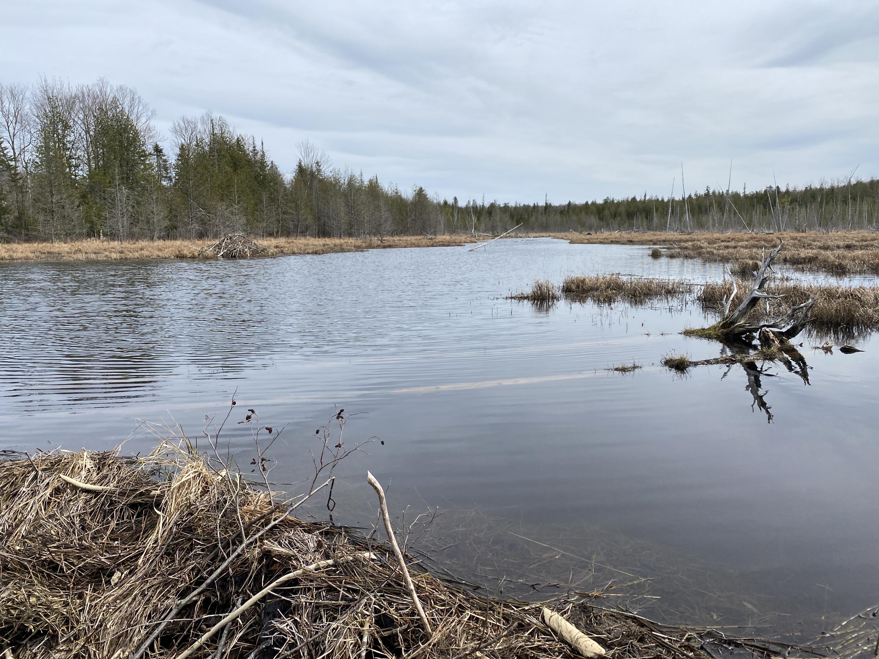 M1-l9 Colonels Road Sebec, ME 04481 - Photo 16 of 18 Photo Apr 25, 3 33 56 PM