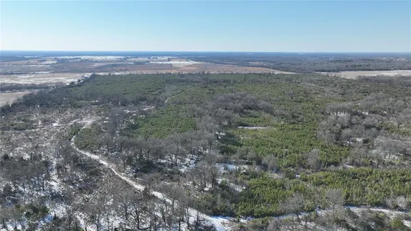 a view of a big yard with lots of green space