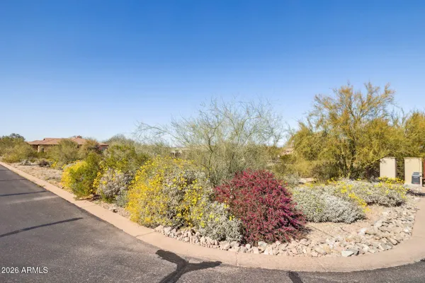 an aerial view of houses covered in trees