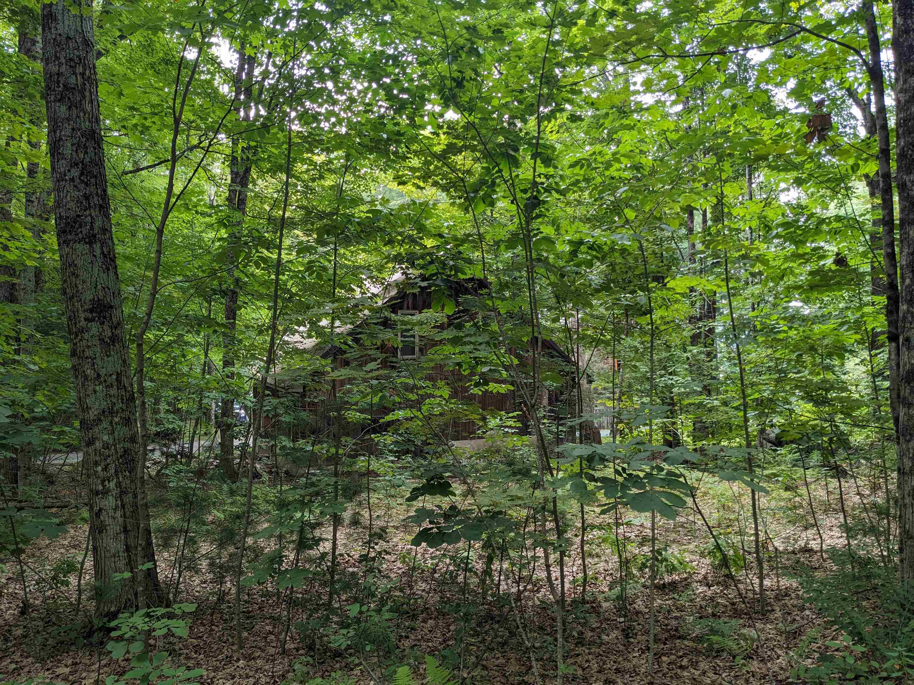 140 Vincent Egan Road Castleton, VT 05732 - Photo 38 of 51