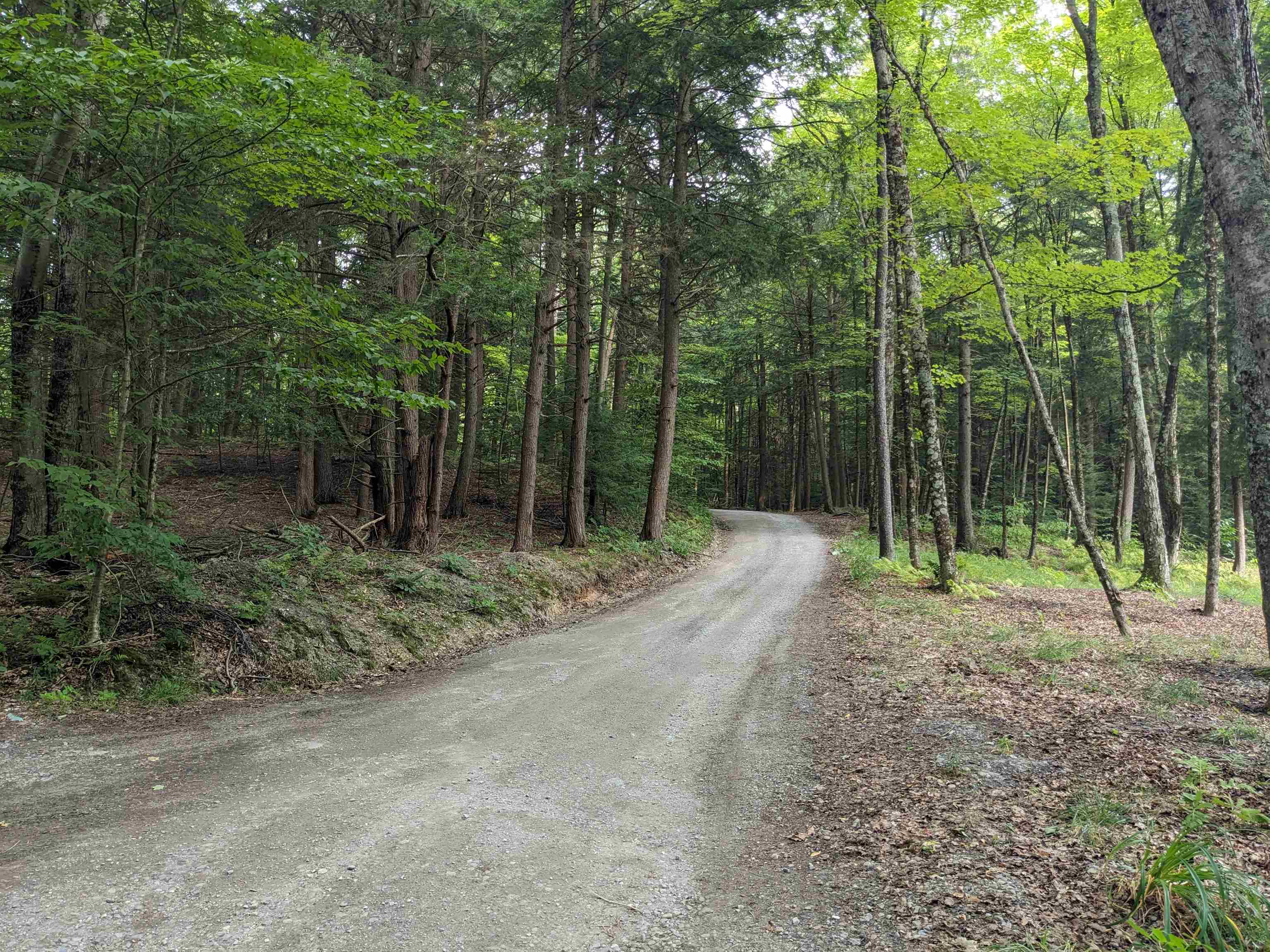 140 Vincent Egan Road Castleton, VT 05732 - Photo 42 of 51