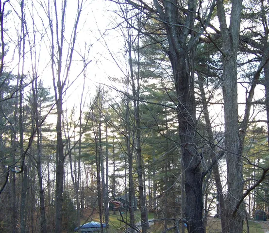 $380,000 | 140 Vincent Egan Road, Castleton, VT 05732