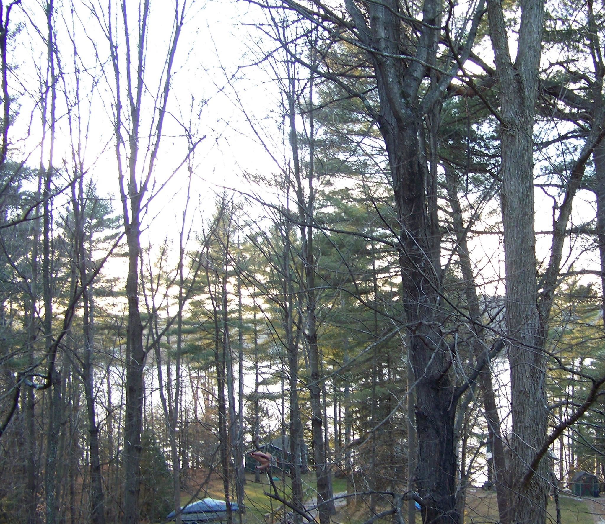 140 Vincent Egan Road Castleton, VT 05732 - Photo 7 of 51