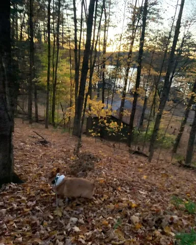 $380,000 | 140 Vincent Egan Road, Castleton, VT 05732