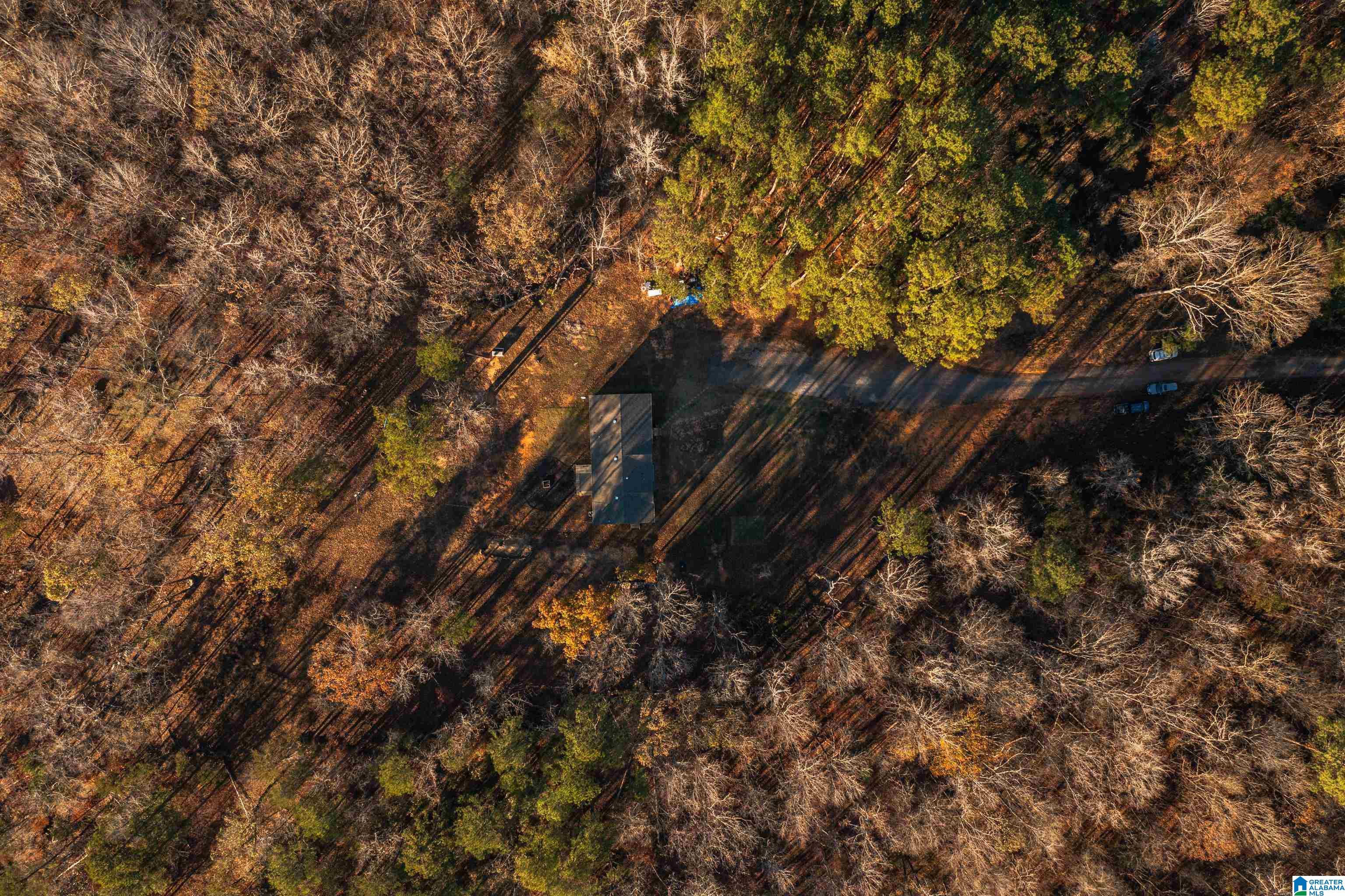 191 Warrior River Highlands Road Adger, AL 35006 - Photo 69 of 81