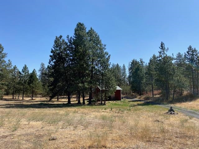 28818 South Boston Road Cheney, WA 99004 - Photo 4 of 6