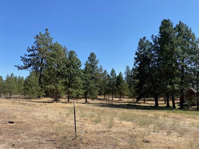 28818 South Boston Road Cheney, WA 99004 - Photo 5 of 6