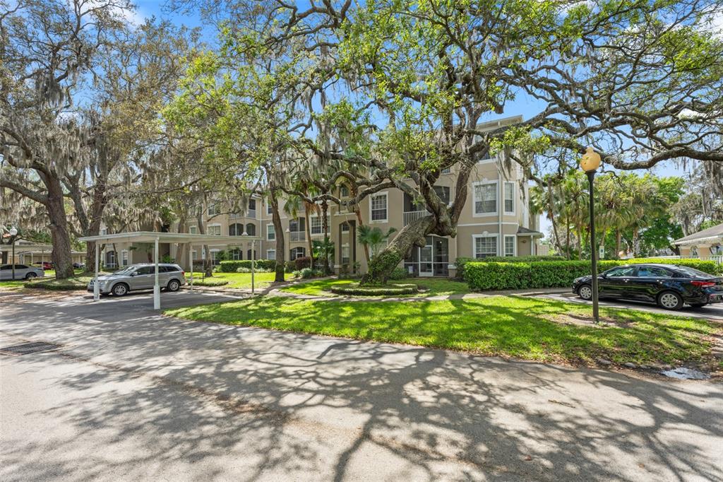 a view of a park with large trees