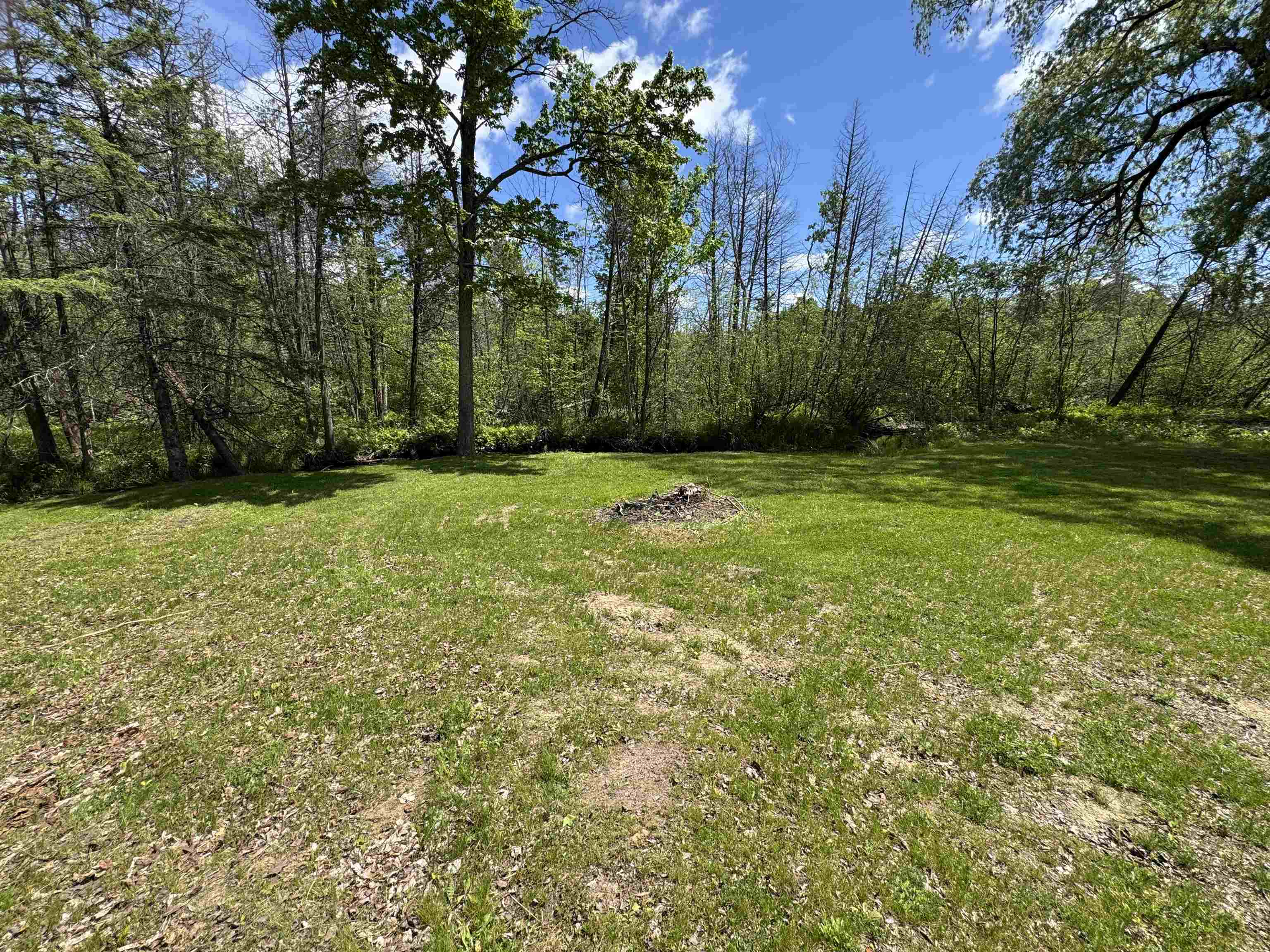 3256 Hilts Road Gladwin, MI 48624 - Photo 33 of 43