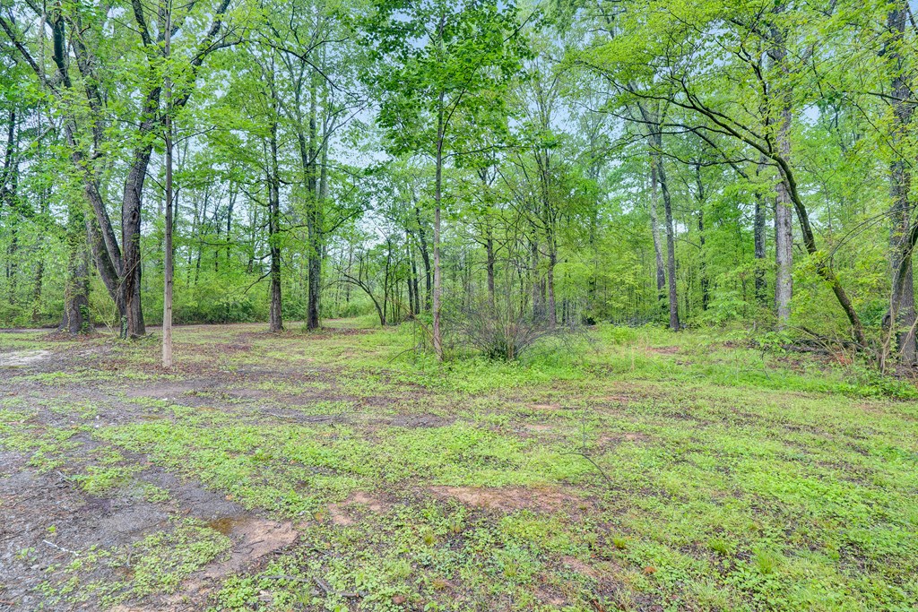 110 Groce Road LaFayette, GA 30728 - Photo 33 of 37 Gallery Image 33