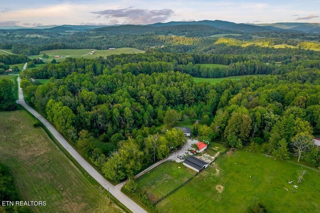 1425 Moodyville Loop Pall Mall, TN 38577 - Photo 40 of 60 a view of a lush green forest with a lake and mountain view