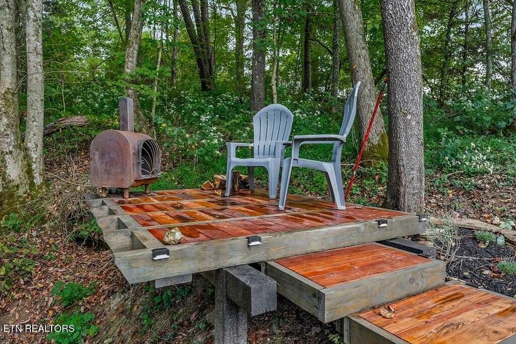 1425 Moodyville Loop Pall Mall, TN 38577 - Photo 46 of 60