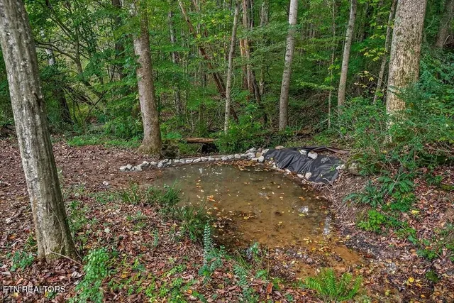 $830,000 | 1425 Moodyville Loop, Pall Mall, TN 38577