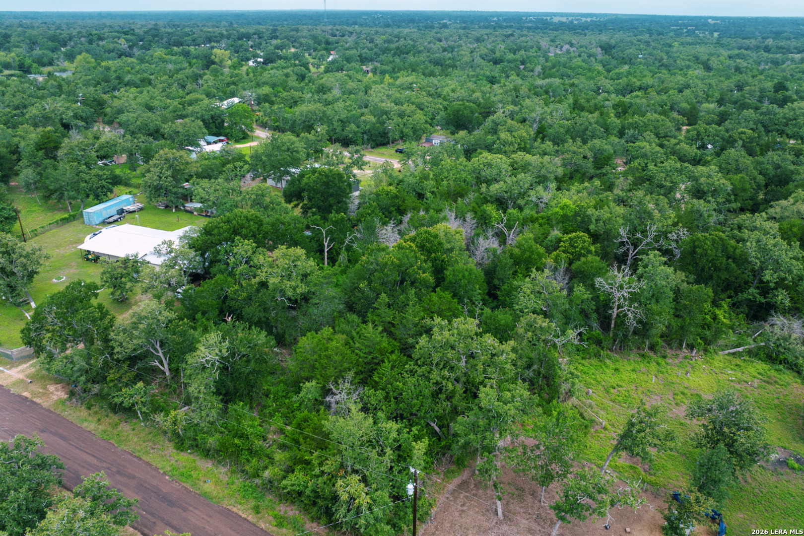 583 Blueberry Hill Road Somerville, TX 77879 - Photo 19 of 19 a view of a lush green forest with lots of trees