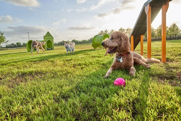 $325,902 | 7610 Cattail Shallows Lane, Katy, TX 77493