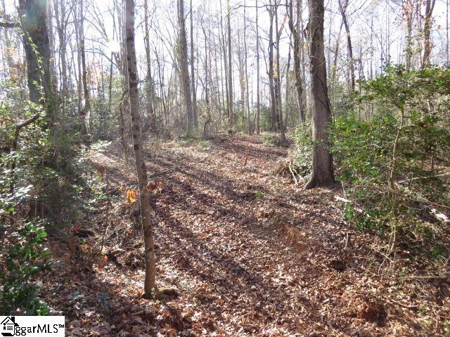 9841 Anderson Road Piedmont, SC 29673 - Photo 14 of 24 Gallery Image 14
