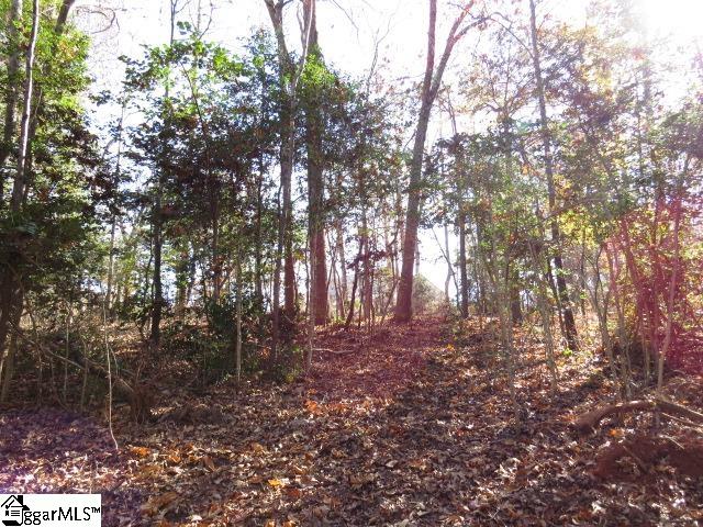 9841 Anderson Road Piedmont, SC 29673 - Photo 22 of 24 Gallery Image 22