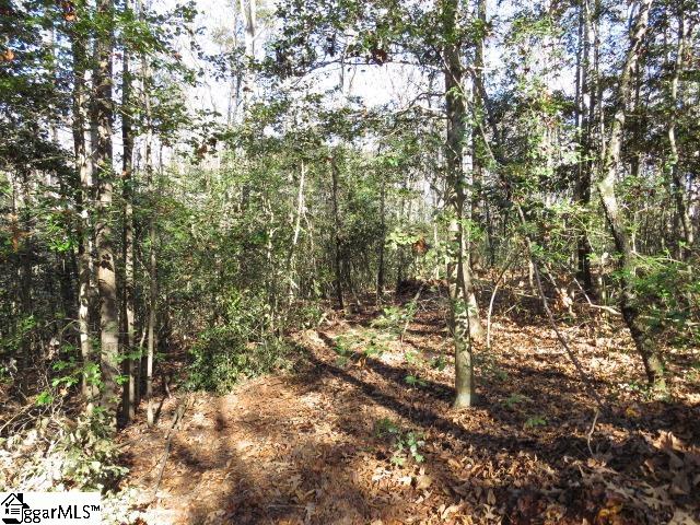 9841 Anderson Road Piedmont, SC 29673 - Photo 23 of 24 Gallery Image 23