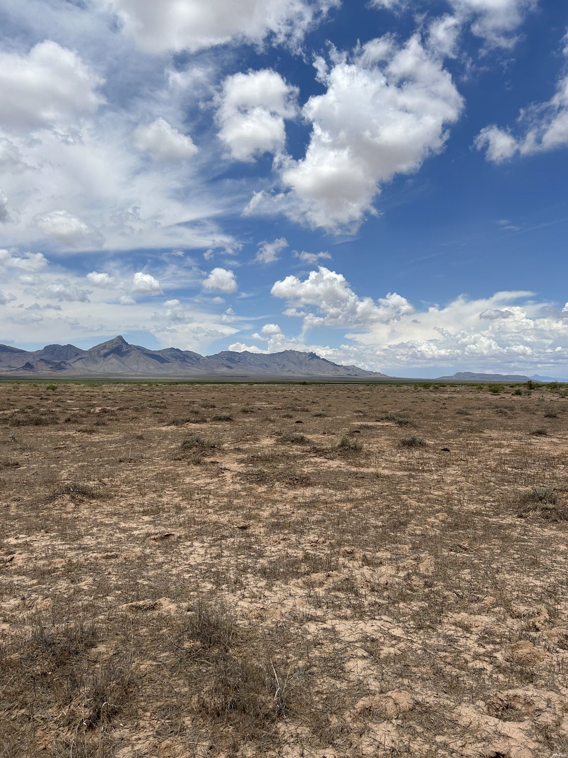 0 Cebada Road Deming, NM 88030 - Photo 4 of 15 Gallery Image 4
