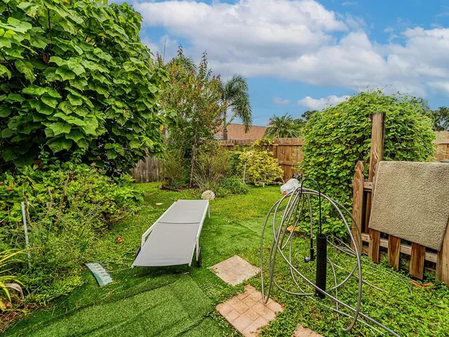 a view of a garden with plants
