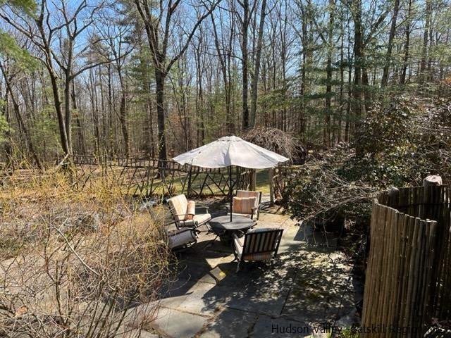 337 Sheldon Hill Road Olivebridge, NY 12461 - Photo 28 of 29 Photo 28