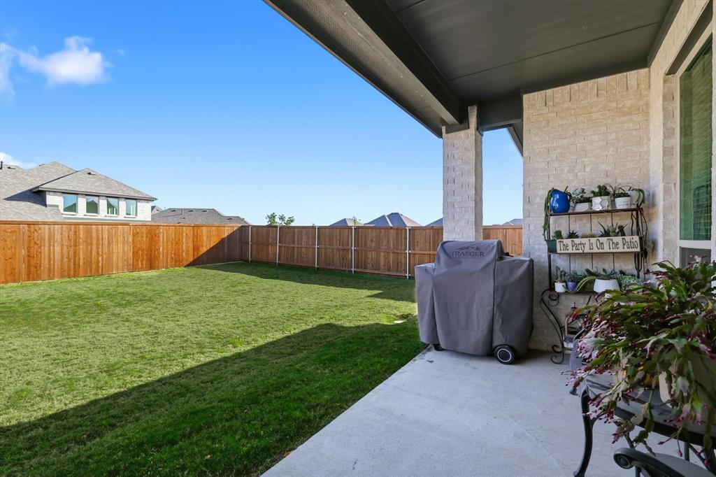 4420 Minnow Cove Oak Point, TX 75068 - Photo 34 of 40 a view of a backyard with plants and a large tree