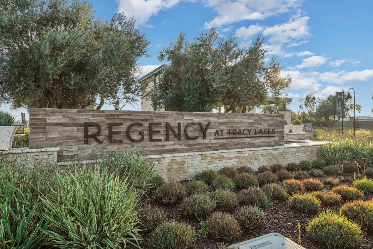 1839 Snowflower Place Tracy, CA 95377 - Photo 2 of 53