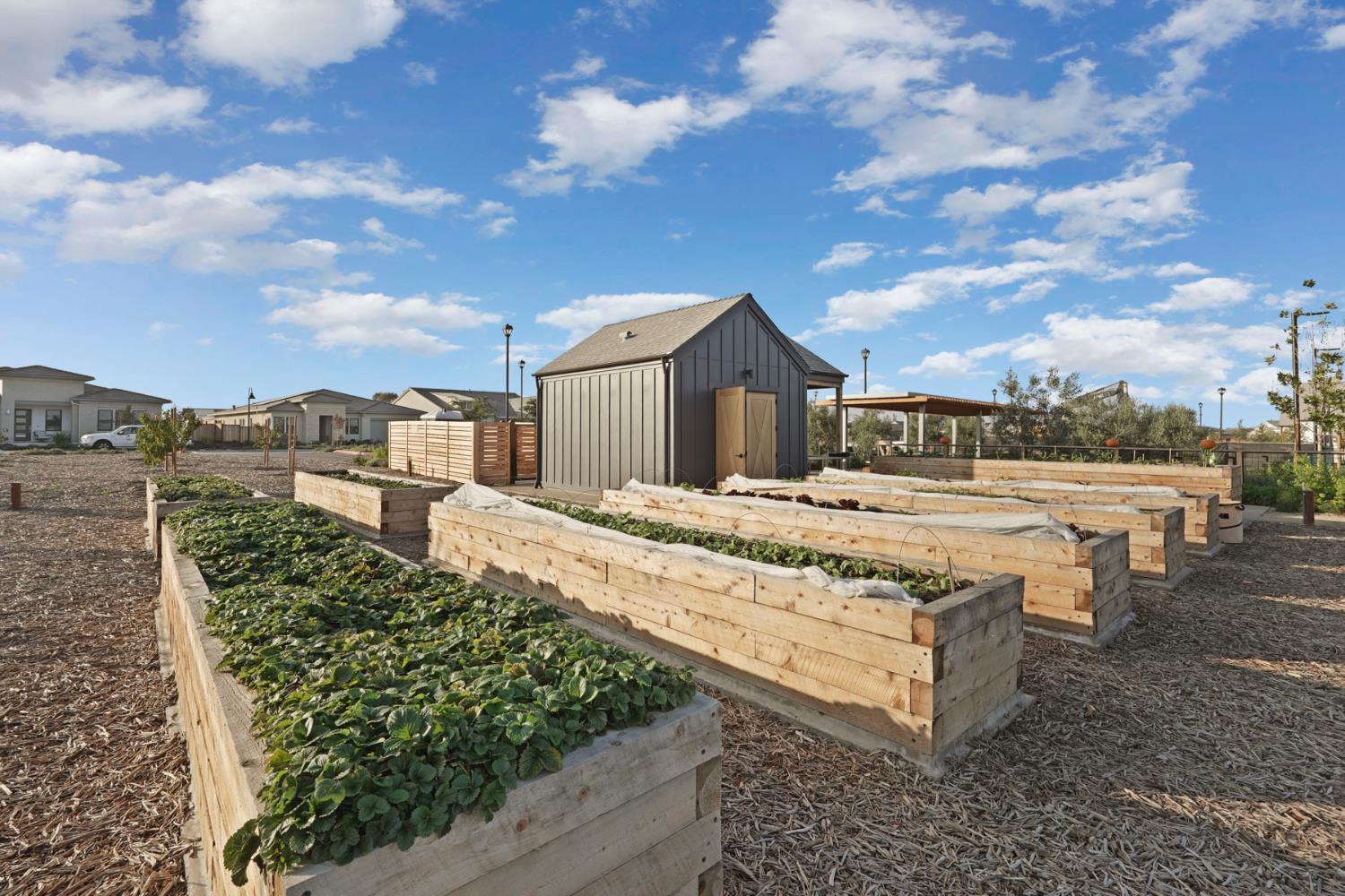 1839 Snowflower Place Tracy, CA 95377 - Photo 52 of 53 a view of a house with a yard