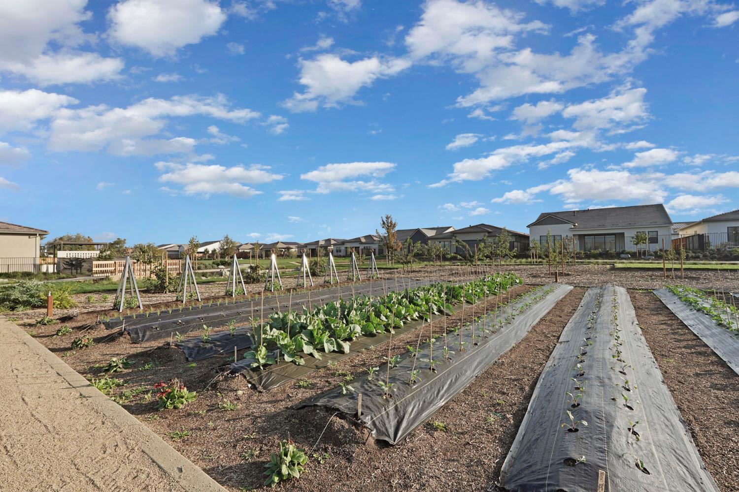 1839 Snowflower Place Tracy, CA 95377 - Photo 53 of 53 a view of a city with ocean