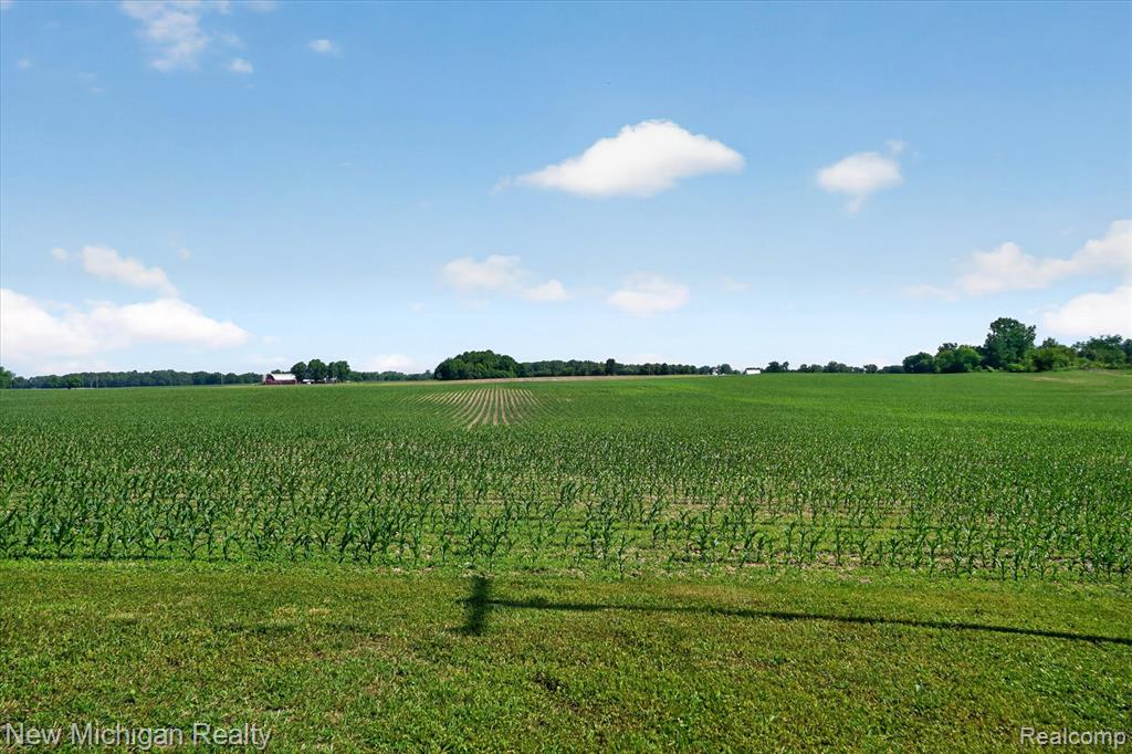 11374 Lahring Road Gaines, MI 48436 - Photo 52 of 66