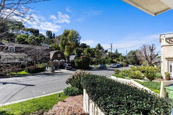a view of a park with plants and trees