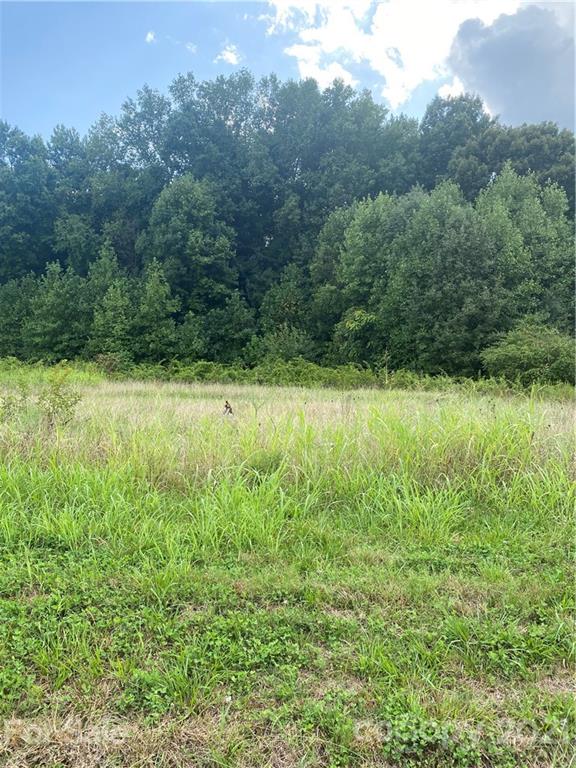 2629 Tryon Courthouse Road Bessemer City, NC 28016 - Photo 3 of 3 Gallery Image 3