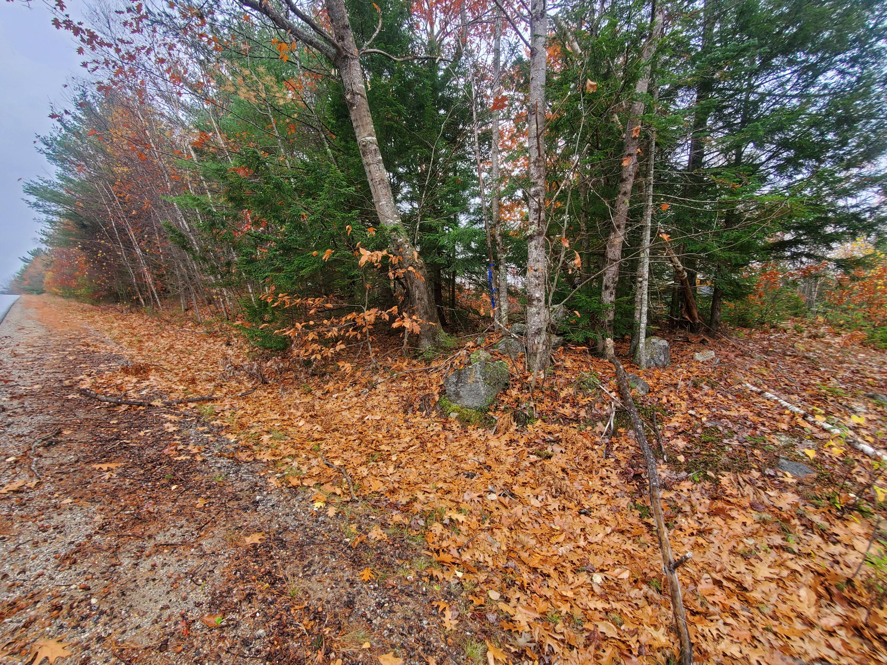Tbd Tbd Round The Pond & Upton Brother Roads Norway, ME 04268 - Photo 5 of 11 20201028_144104