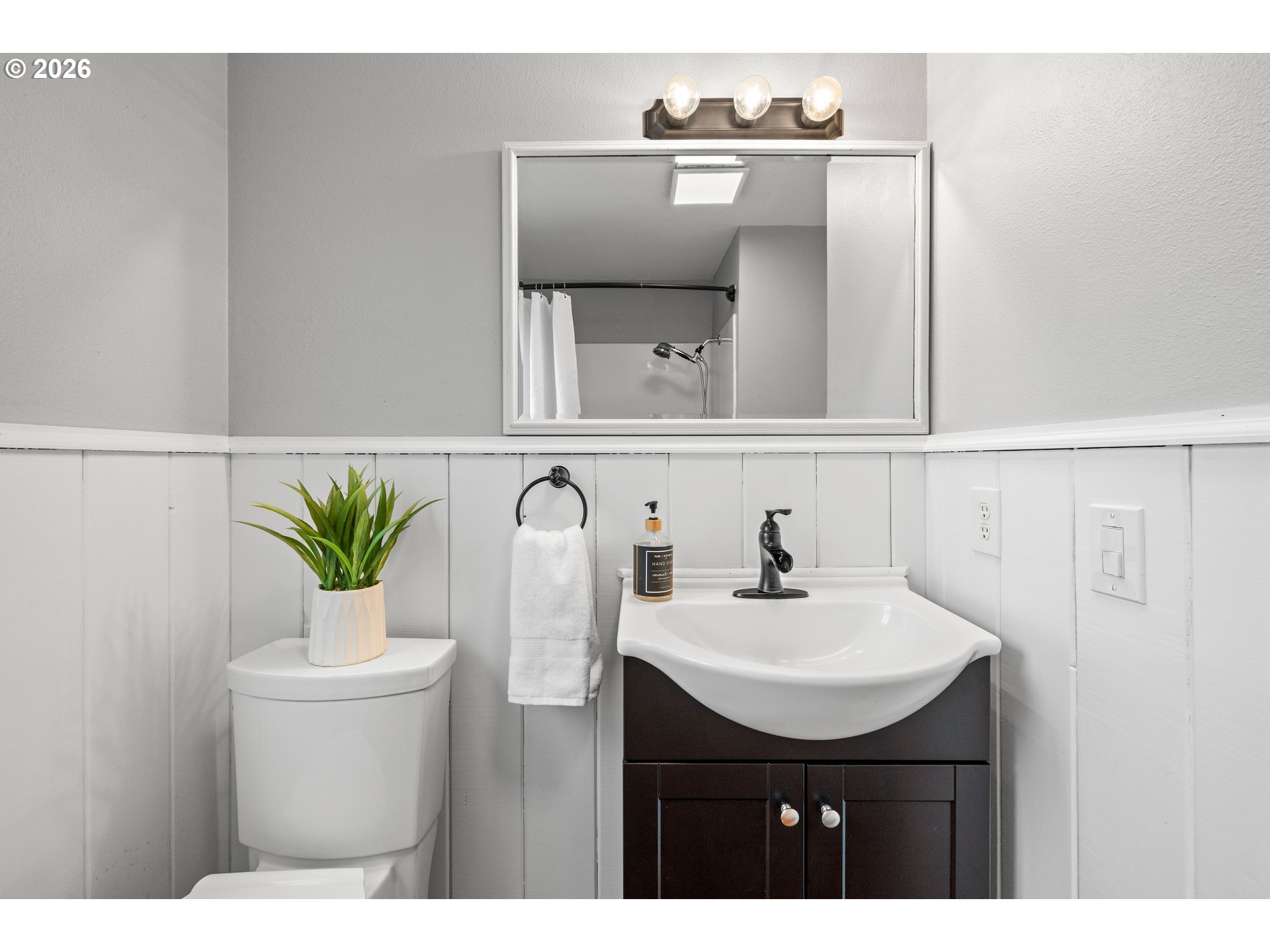 493 South Emerald Loop Cornelius, OR 97113 - Photo 35 of 46 a bathroom with a sink a mirror and a potted plant