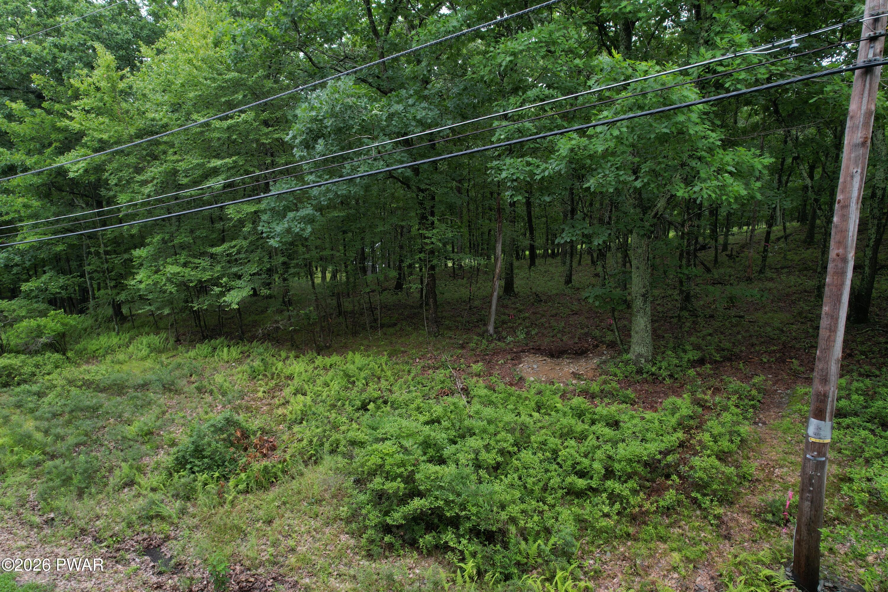 Tom Quick Road Dingmans Ferry, PA 18328 - Photo 8 of 14