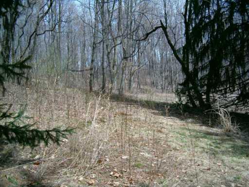 253 Armstrong Road Tarentum, PA 15084 - Photo 7 of 8 Other.