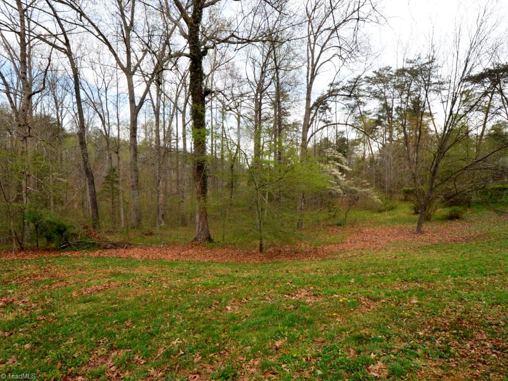 1012 Rhine Road Germanton, NC 27019 - Photo 17 of 17