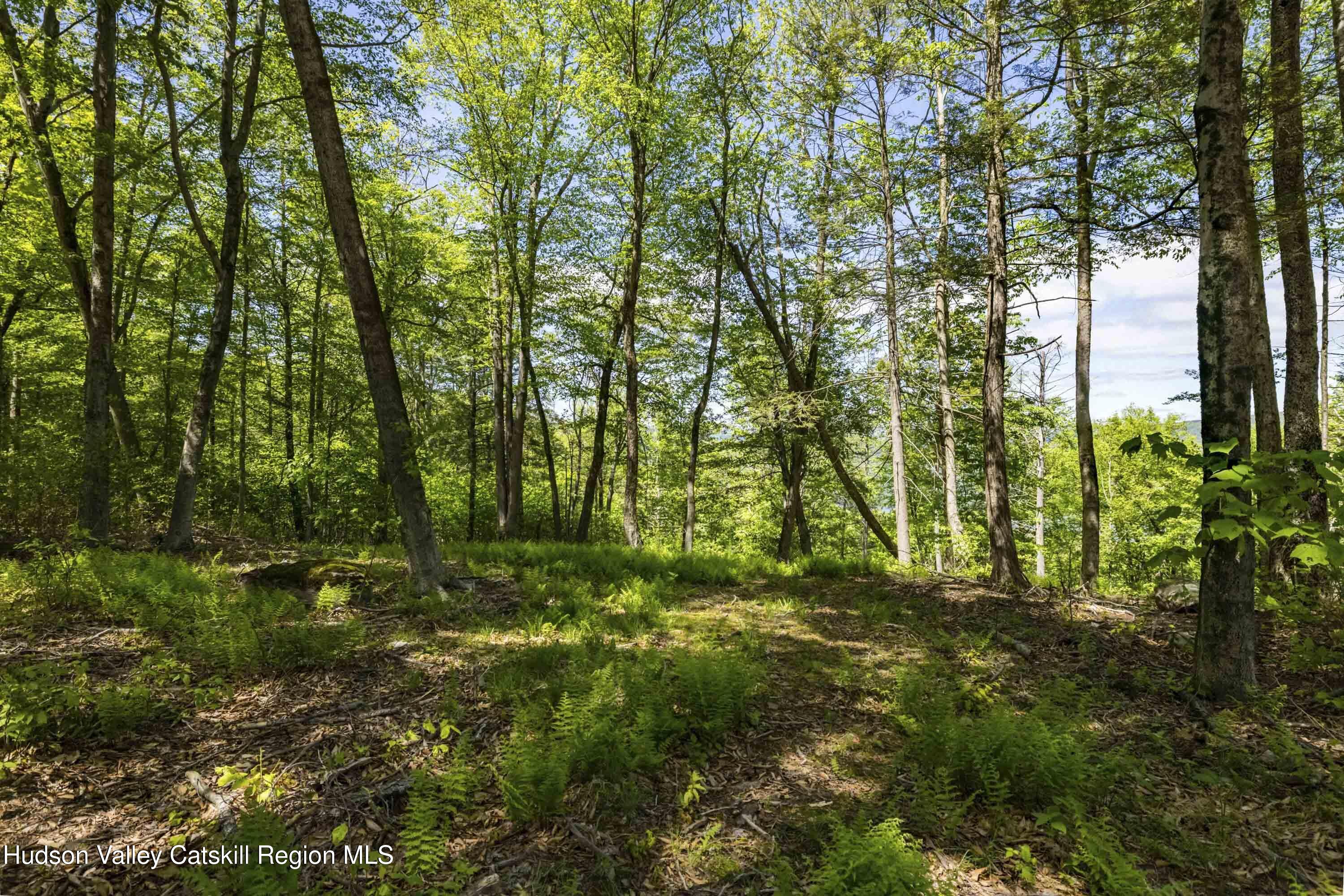 1 Red Rock Road Grahamsville, NY 12740 - Photo 11 of 20 a view of outdoor space and trees all around