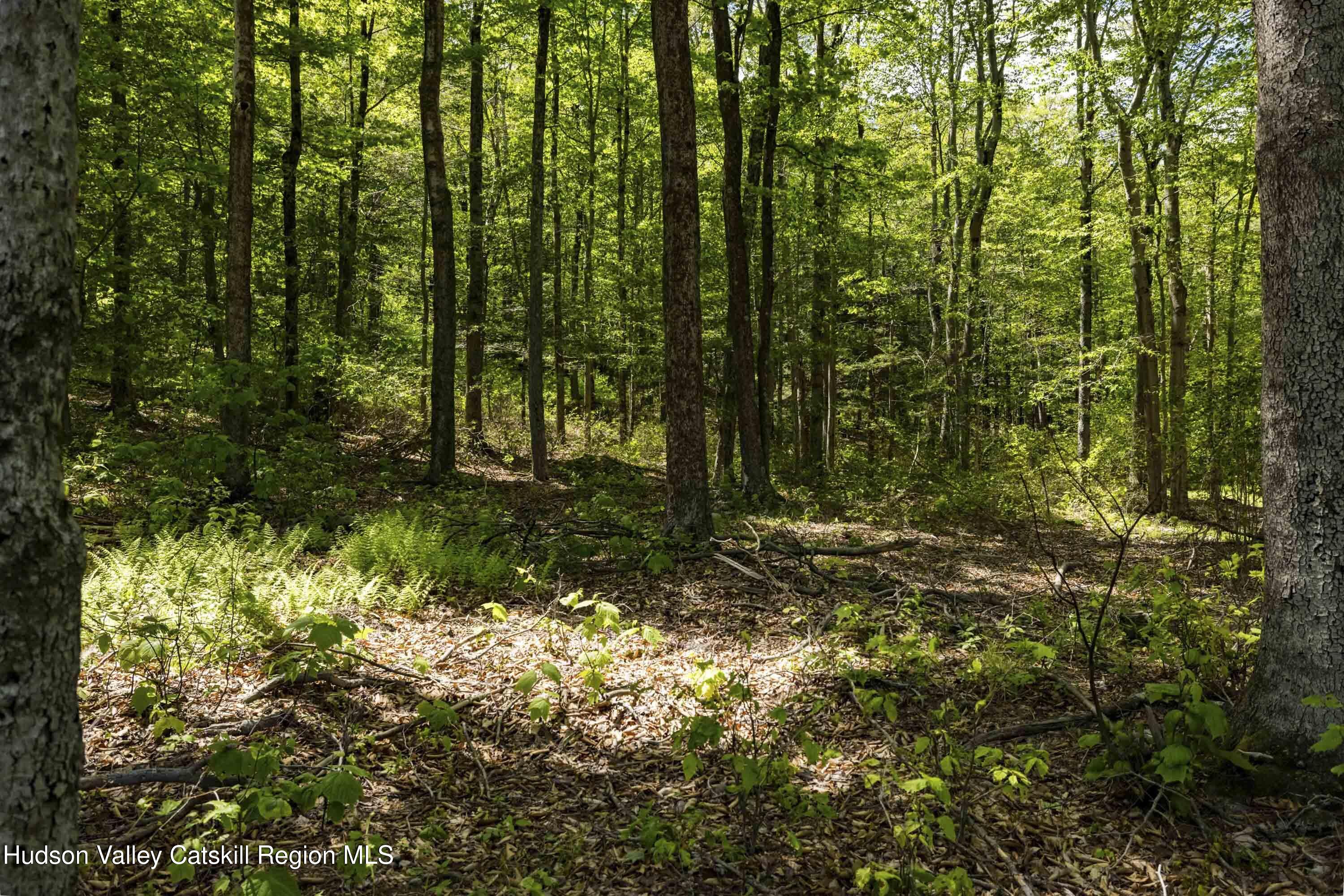 1 Red Rock Road Grahamsville, NY 12740 - Photo 12 of 20 a view of outdoor space and trees
