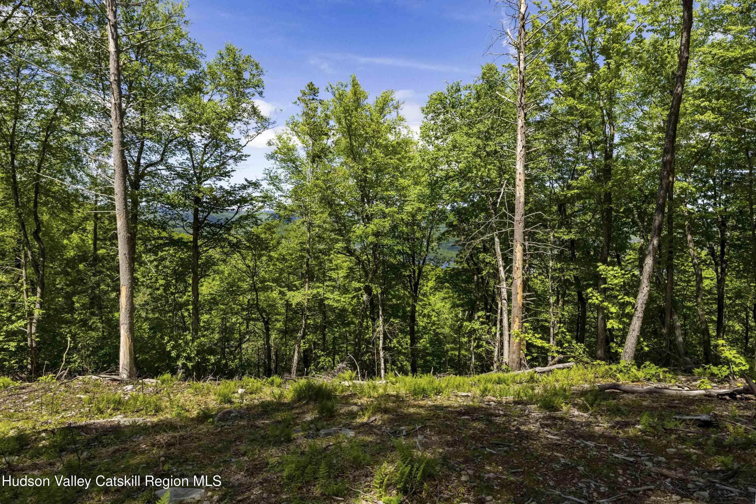 1 Red Rock Road Grahamsville, NY 12740 - Photo 13 of 20 a view of a yard with a tree