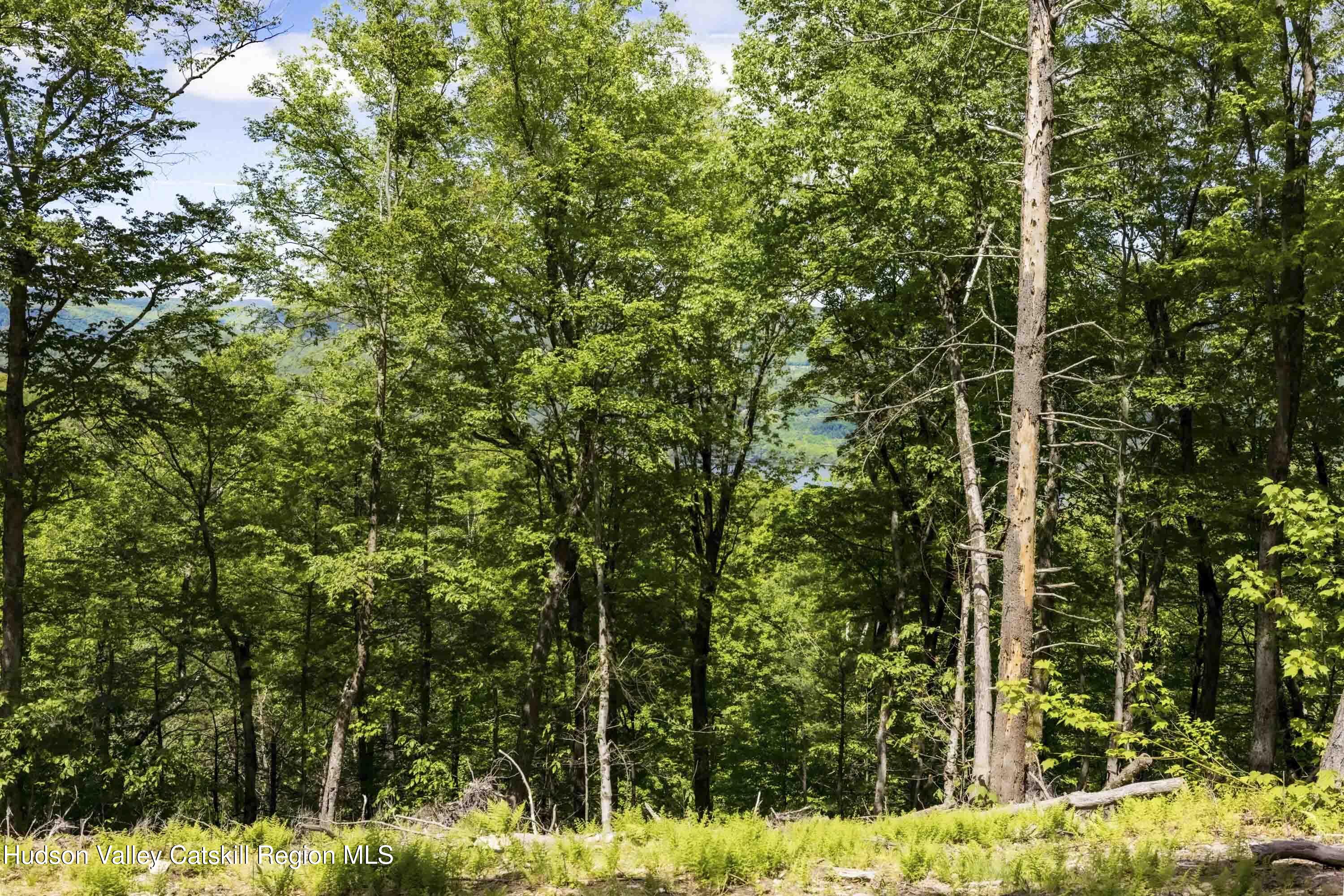 1 Red Rock Road Grahamsville, NY 12740 - Photo 14 of 20 a view of outdoor space and street view