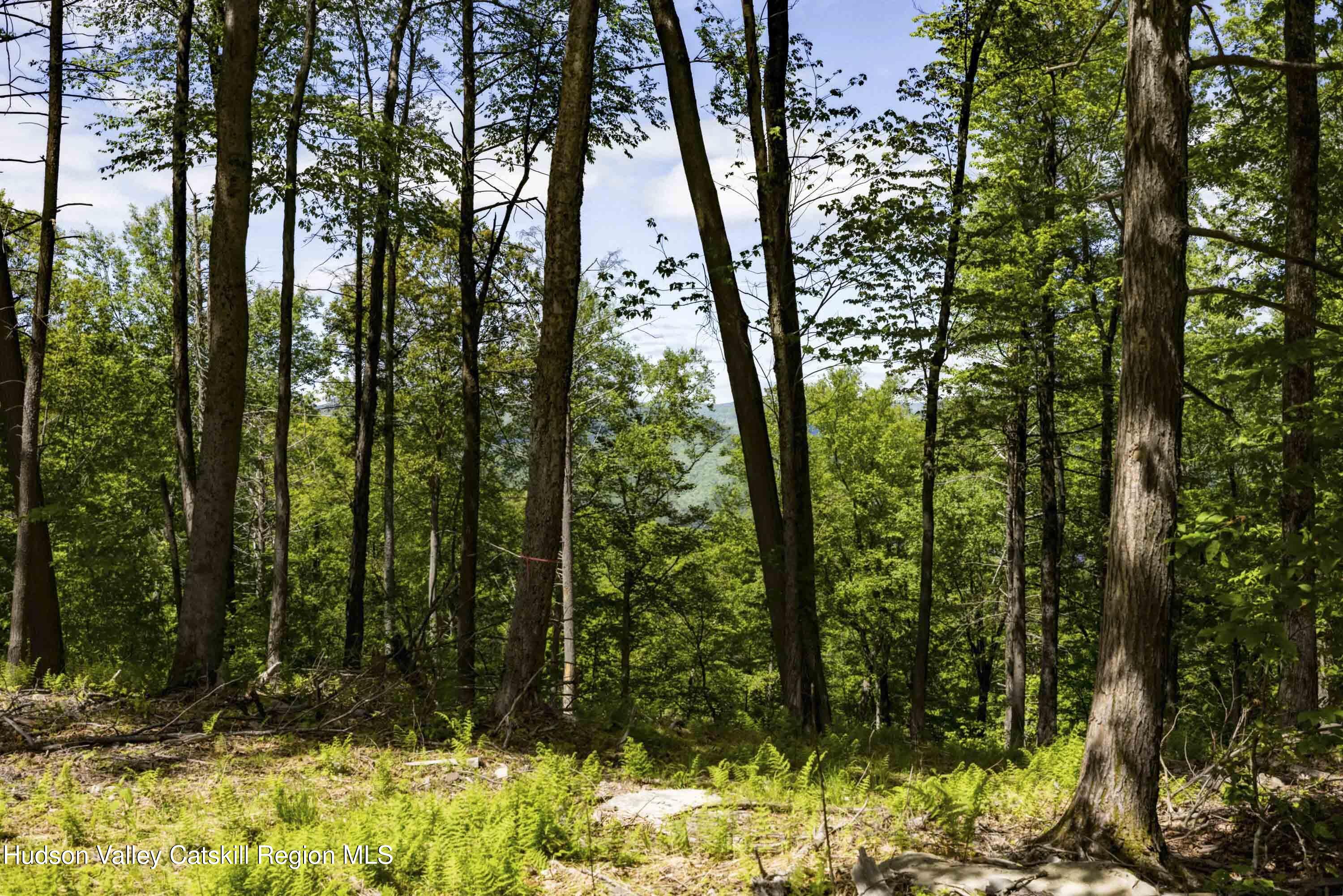 1 Red Rock Road Grahamsville, NY 12740 - Photo 15 of 20 a view of outdoor space and trees