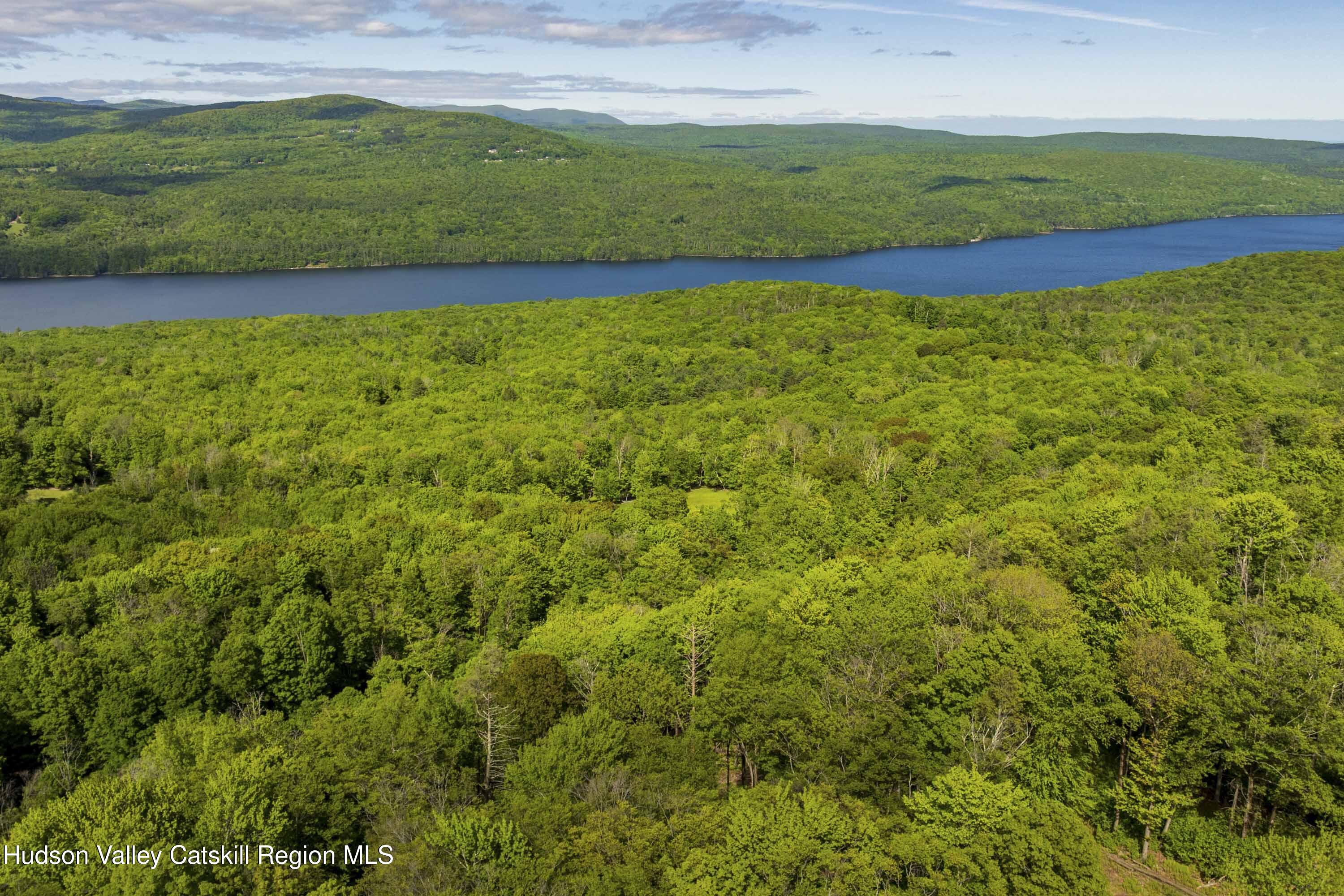 1 Red Rock Road Grahamsville, NY 12740 - Photo 9 of 20 a view of a yard with an outdoor space