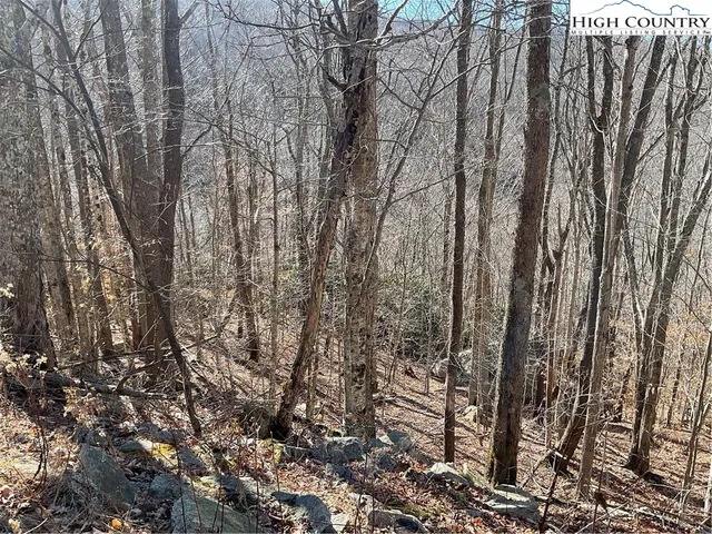 $29,999 | 104 Wintercrest Lane, Beech Mountain, NC 28604